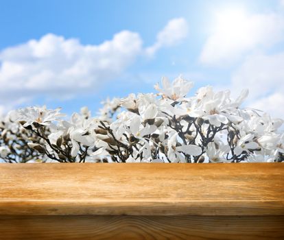 empty wooden table for product display montages - spring theme