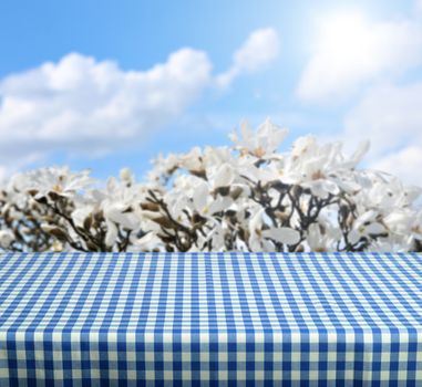 empty table for product display montages - spring theme