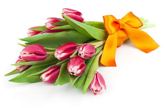 bouquet of beautiful tulips with bow-knot. March 8, valentine's day, mother's day