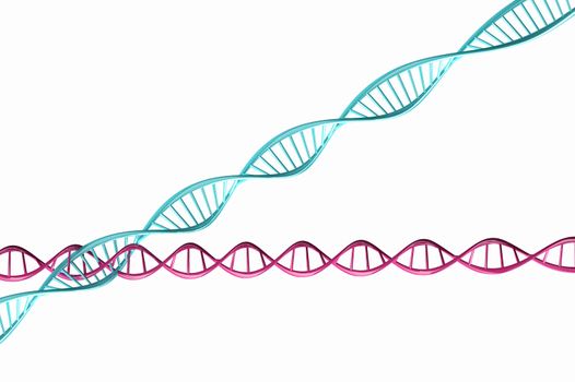 3d render ,Model of twisted DNA chain isolated on white background High resolution. 