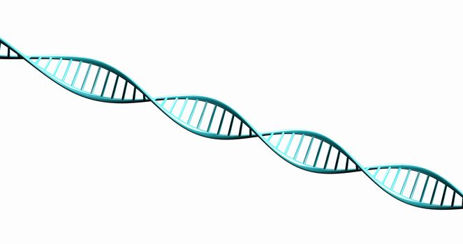 Isolated  on white background 3d render model of twisted DNA chain.