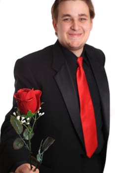 Handsome young man wearing a formal suit  holds and offers you a red rose on a white background for valentines day