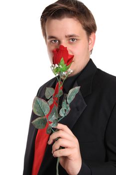 Handsome young man wearing a formal suit  holds a rose on a white background