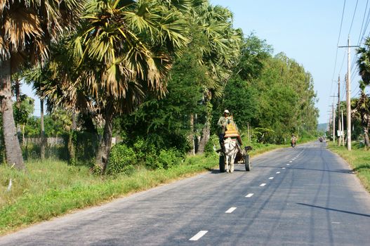 AN GIANG, VIET NAM- NOV 14: People ride cart to transport coffin on asphalt road with row of trees along the street in An Giang, Viet Nam on Nov 14, 2013