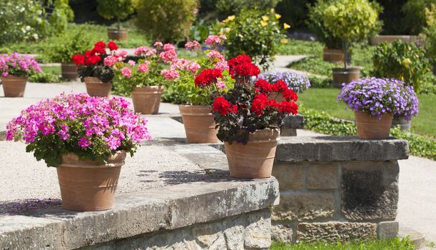 geranium and flower garden built on terrace