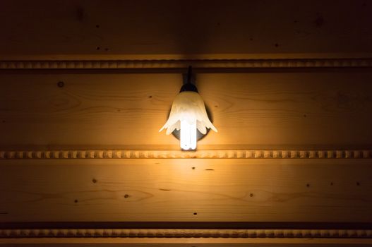 Lamp with energy saving light bulb on the wooden wall