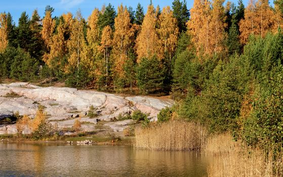 Forest pond landsape with beautiful autumn colors