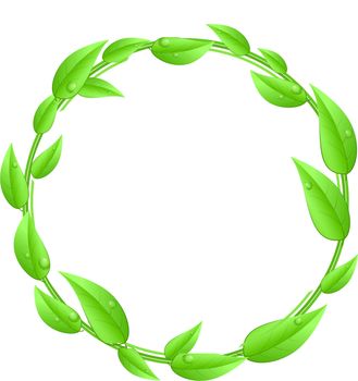 Round,circle made of green leaves with white text space isolated on a white background