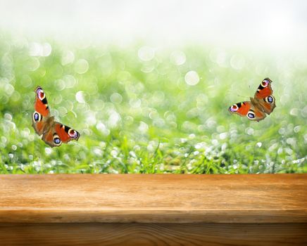 empty table and fresh green grass in background