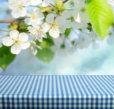 Spring gingham table for product display montages