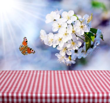 empty table and fresh spring flowers in background