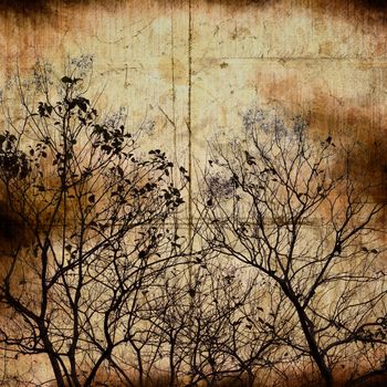 the texture, vintage background of branch design on grunge paper