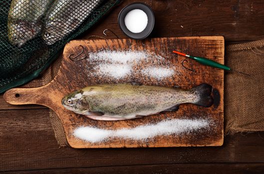 Fresh trouts on wooden background