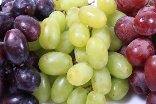 Close up of three different types of grapes in red, green and black