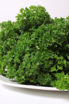 Fresh bunch of green parsley on a plate and white background