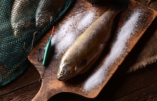 Fresh trouts on wooden background