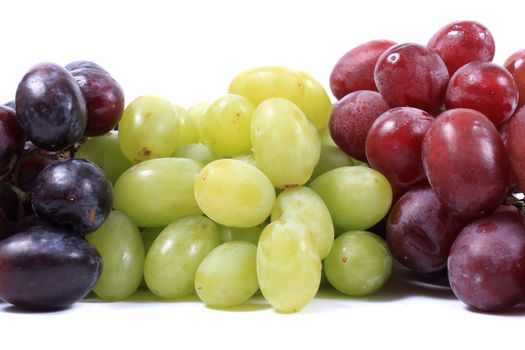 Three different types of grapes in red, green and black