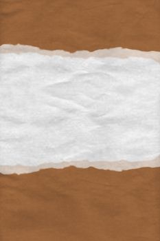 Illustration of textured ripped paper background in brown and white with copy space 