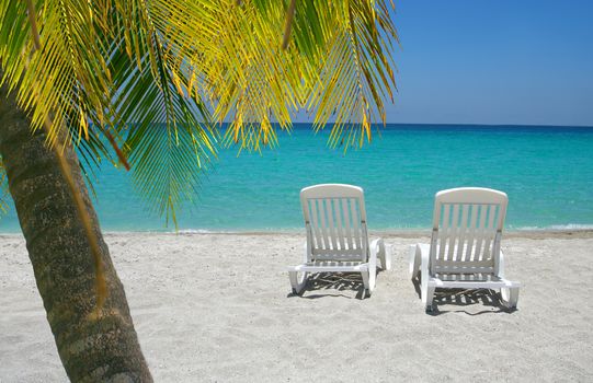 Inviting tropical beach chairs on sand at shoreline in the Caribbean   with palm  tree