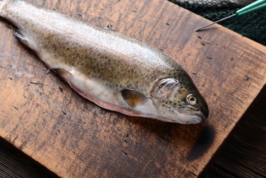Fresh trouts on wooden background