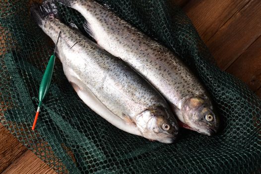 Fresh trouts on wooden background