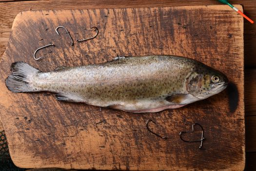 Fresh trouts on wooden background