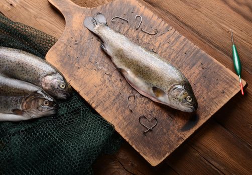 Fresh trouts on wooden background