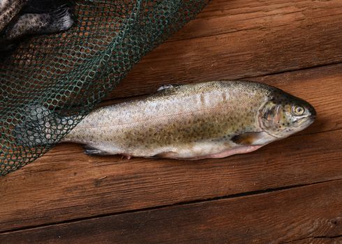 Fresh trouts on wooden background