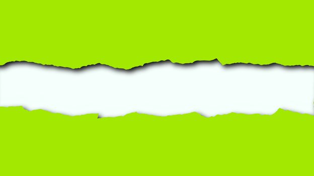 Torn paper with white space for text on a green spring background 