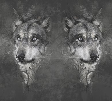 Wolf illustration. Tattoo design over grey background. textured backdrop. Artistic image