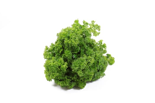 Fresh bunch of green parsley on a  white background