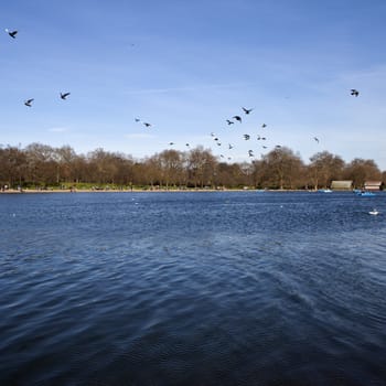 The beautiful Serpentine in London's Hyde Park.