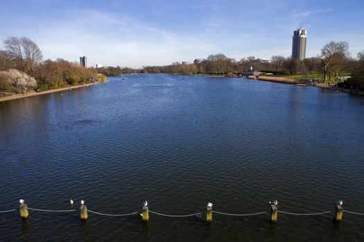 The beautiful Serpentine in London's Hyde Park.