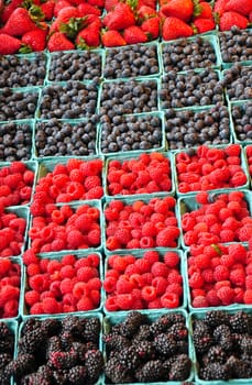 Fresh colorful berries on display at market