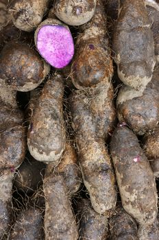 Close-up of yam pile with a slice in purple for sale at market   