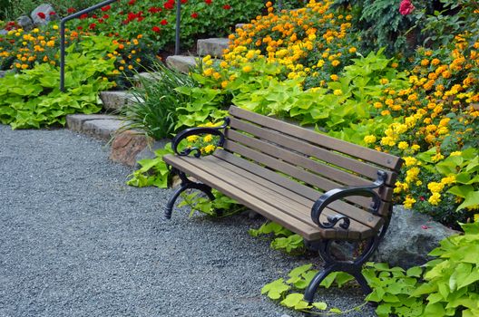Wooden garden bench in colorful botanical summer garden