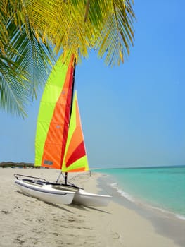 Catamaran ready to sales on the shores of Varadero beach in Cuba with palm leaves in the foreground