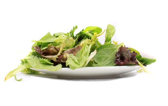 Plate full of green leafy vegetable variety