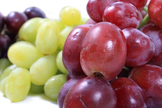 Three different types of grapes in red, green and black