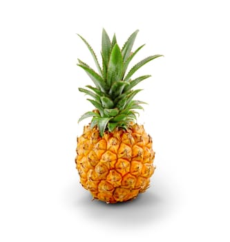 Fresh Pineapple, professional Isolated on white background - with clipping path