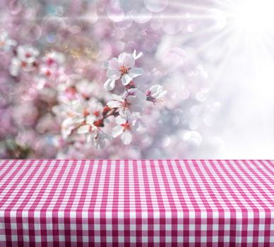 Spring empty table for product displays