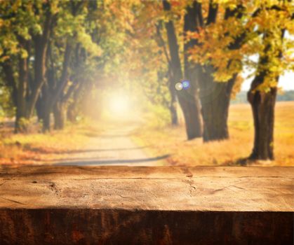 Autumn table for product dsiplays