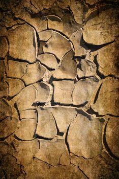cracked earth texture or background