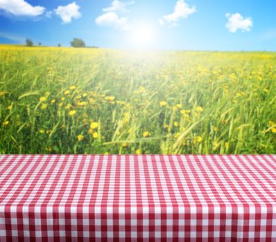 Empty table and summer field in background