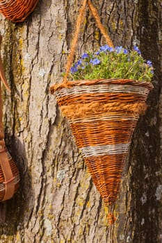 View of flowers inside a wicker basket