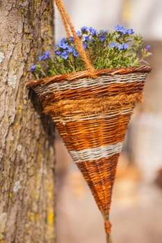 View of flowers inside a wicker basket