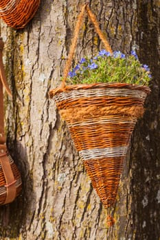 View of flowers inside a wicker basket