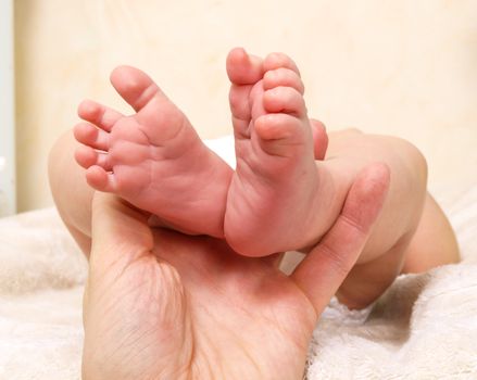 Infant laying on its back with feet held by parent
