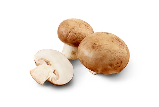 Common mushrooms, professional isolated on the white background - with clipping path