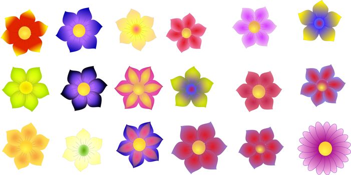 Illustration of colorful lavender, carnations, forget-me-nots and gerbera flowers isolated on a white background